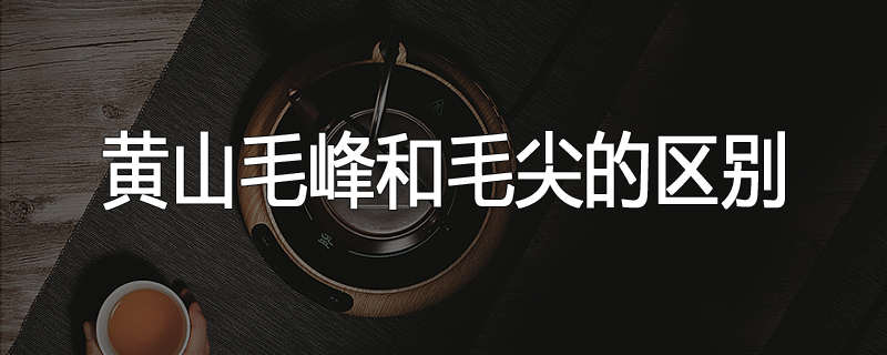 黄山毛峰和毛尖的区别