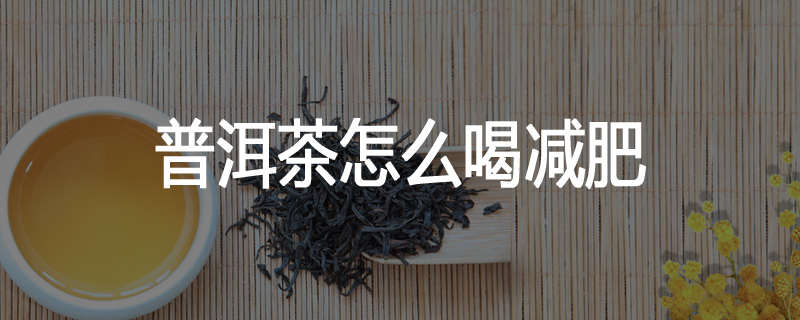 普洱茶怎么喝减肥