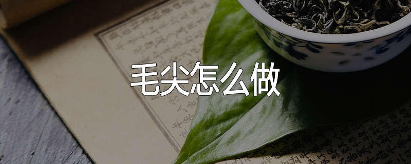 毛尖怎么做