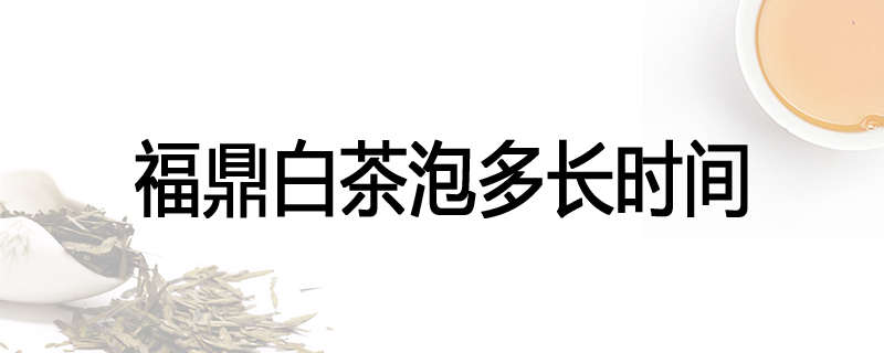 福鼎白茶泡多长时间