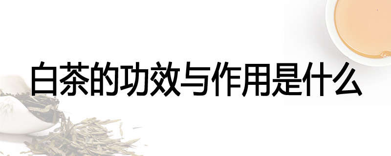 白茶的功效与作用是什么