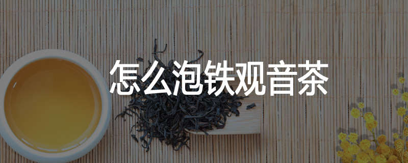 怎么泡铁观音茶