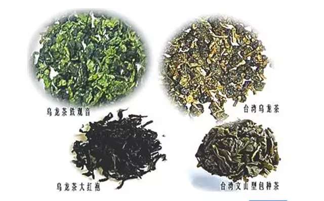 乌龙茶种类有哪些