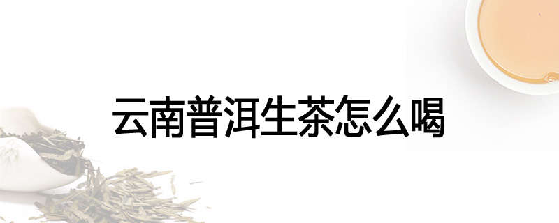 云南普洱生茶怎么喝