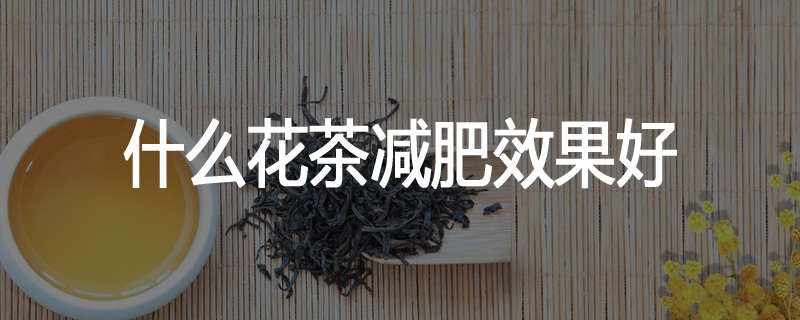 什么花茶减肥效果好