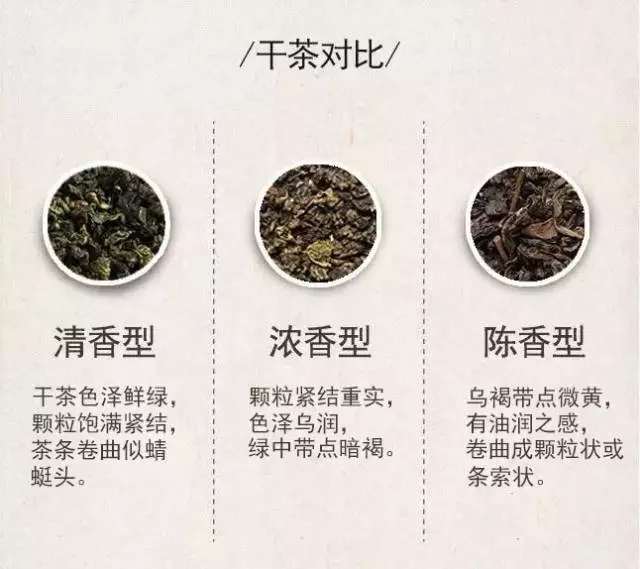 铁观音是半发酵茶吗