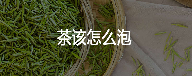 茶该怎么泡