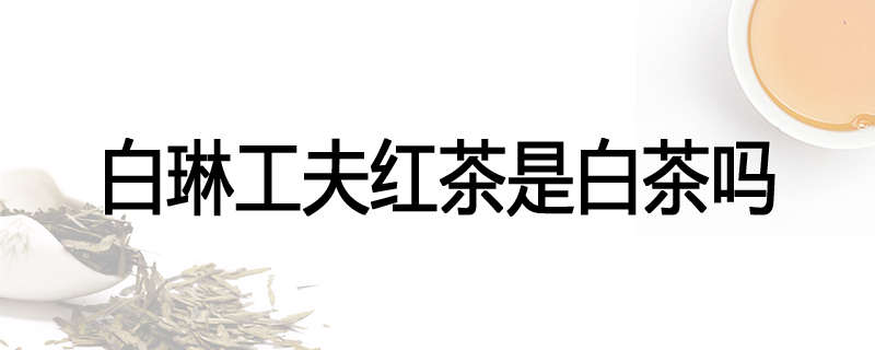 白琳工夫红茶是白茶吗