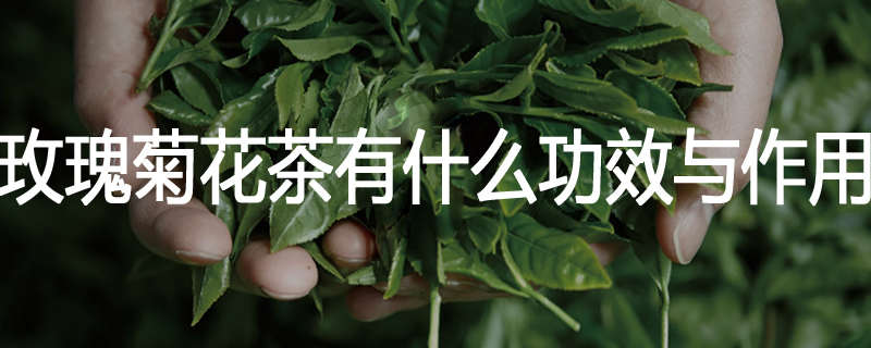玫瑰菊花茶有什么功效与作用