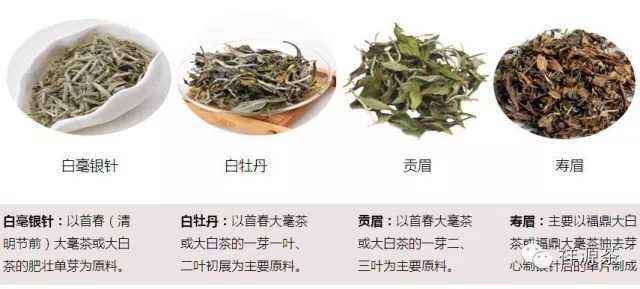 福鼎白茶茶饼怎么鉴别等级