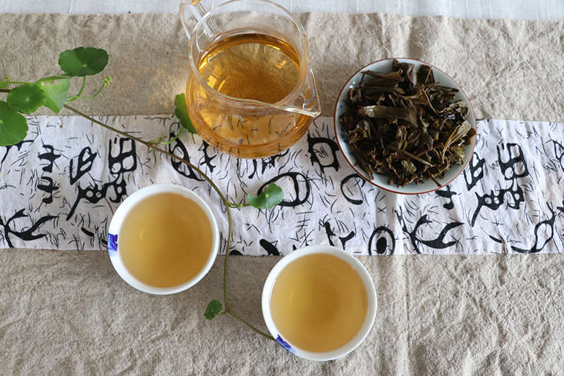 茯砖茶与普洱茶哪个好