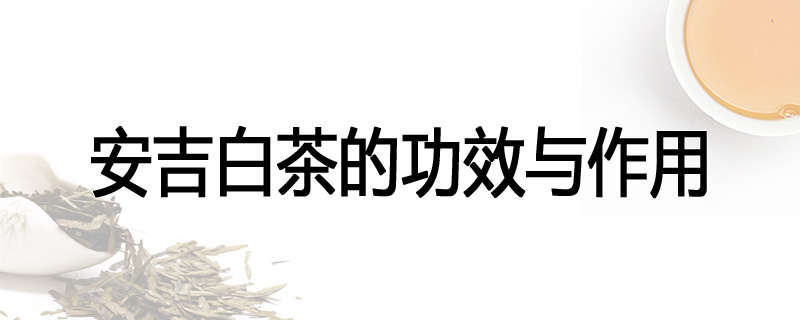 安吉白茶的功效与作用