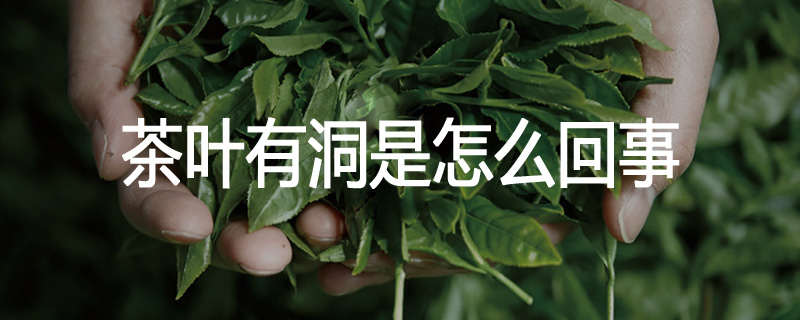 茶叶有洞是怎么回事