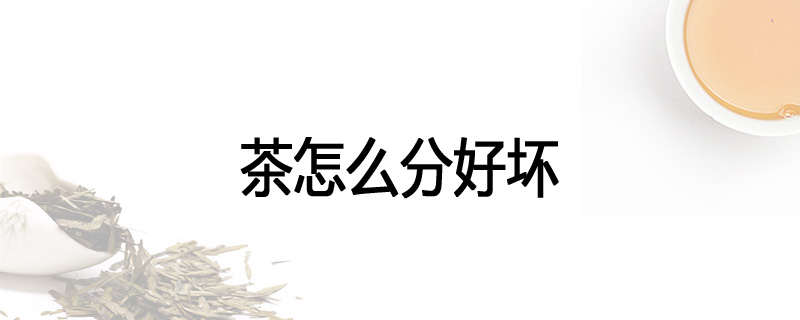 茶怎么分好坏