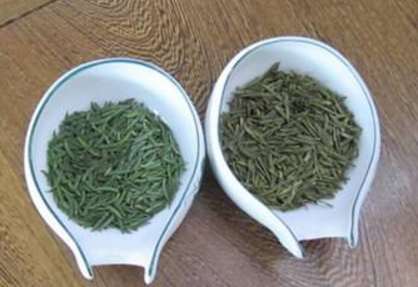 新茶和陈茶的区别