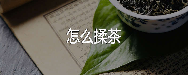 怎么揉茶