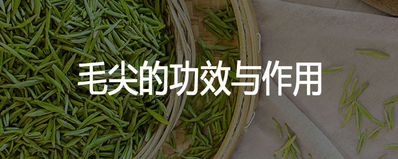 毛尖的功效与作用