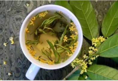 丁香桂花茶功效与作用