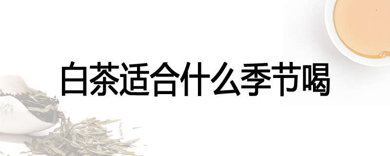 白茶适合什么季节喝