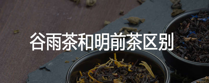 谷雨茶和明前茶区别