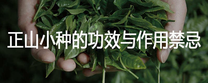 正山小种的功效与作用禁忌