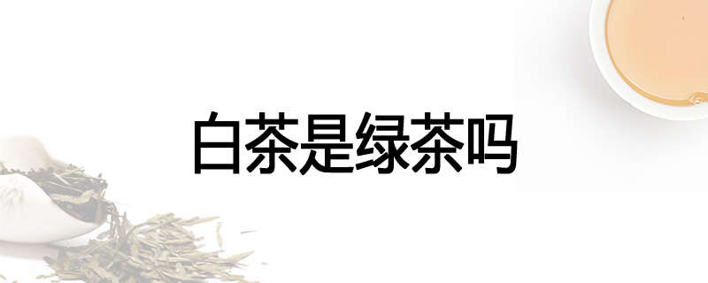 白茶是绿茶吗